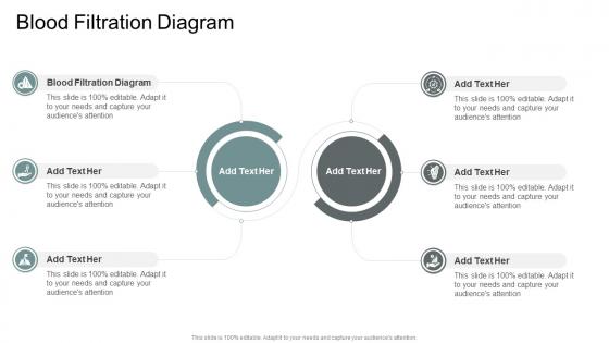 Blood Filtration Diagram In Powerpoint And Google Slides Cpb