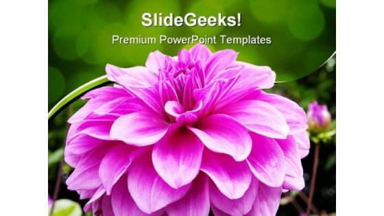 Bloom Beauty PowerPoint Templates And PowerPoint Backgrounds 0211