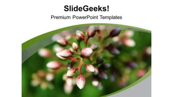 Blooming Buds Natural Beauty PowerPoint Templates Ppt Backgrounds For Slides 0613