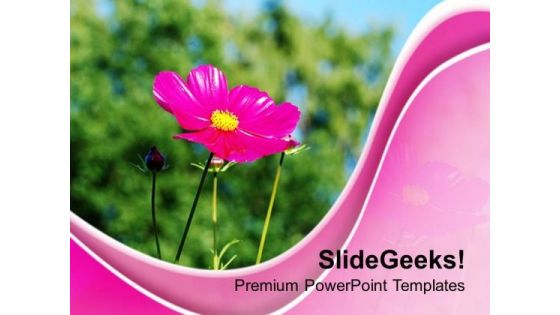 Blooming Flower Beauty Of Nature PowerPoint Templates Ppt Backgrounds For Slides 0513