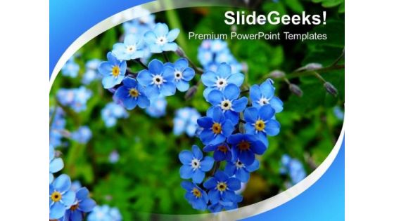 Blooming Flowers Nature PowerPoint Templates Ppt Backgrounds For Slides 0213 Blooming Flowers Nature PowerPoint Templates Ppt Backgrounds For Slides 0213