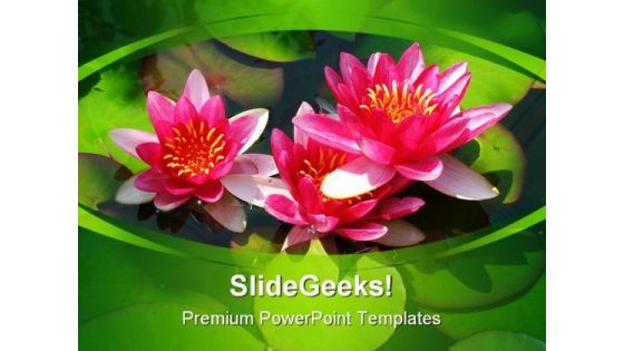 Blooming Lily Nature PowerPoint Templates And PowerPoint Backgrounds 0211