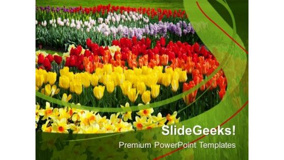 Blooming Spring Flowers Nature PowerPoint Templates Ppt Backgrounds For Slides 0213