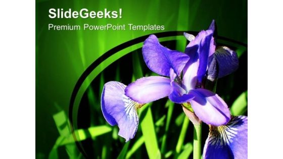 Blue Bellflower Campanula PowerPoint Templates Ppt Backgrounds For Slides 0513