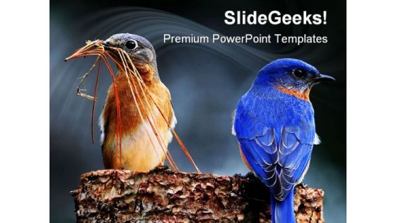 Blue Birds Animals PowerPoint Templates And PowerPoint Backgrounds 0111