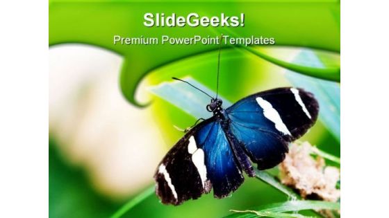 Blue Butterfly Animals PowerPoint Themes And PowerPoint Slides 0511