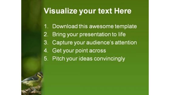 Blue Tit Animal PowerPoint Template 0810