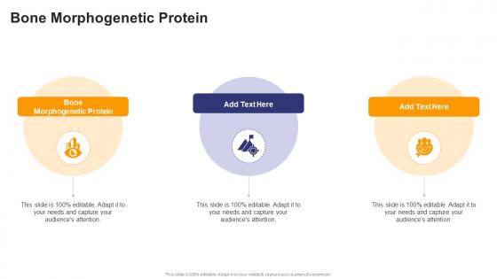 Bone Morphogenetic Protein In Powerpoint And Google Slides Cpb