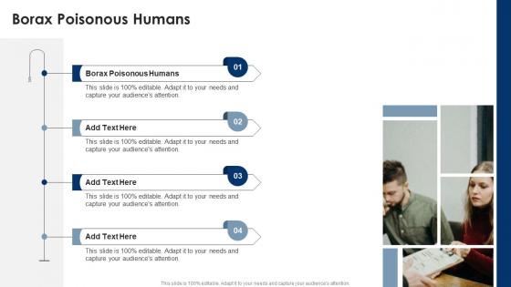 Borax Poisonous Humans In Powerpoint And Google Slides Cpb