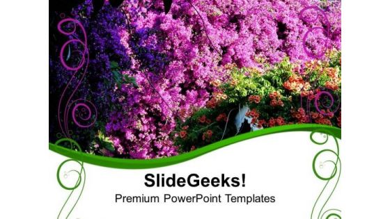 Bougainvillea Pink Flowers Beauty PowerPoint Templates Ppt Backgrounds For Slides 0513