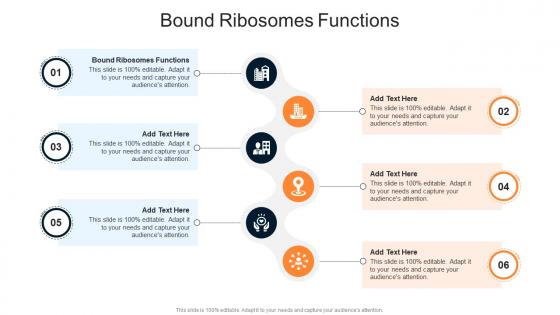 Bound Ribosomes Functions In Powerpoint And Google Slides Cpb Bound Ribosomes Functions In Powerpoint And Google Slides Cpb