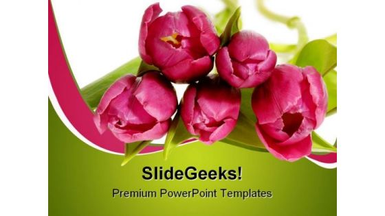 Bouquet Of Pink Tulips Beauty PowerPoint Templates And PowerPoint Backgrounds 0311