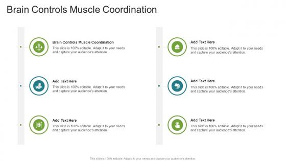 Brain Controls Muscle Coordination In Powerpoint And Google Slides Cpb