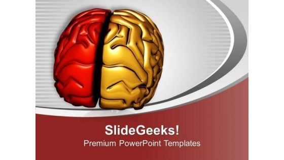 Brain Has Two Important Parts PowerPoint Templates Ppt Backgrounds For Slides 0613