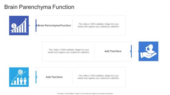 Brain Parenchyma Function In Powerpoint And Google Slides Cpb