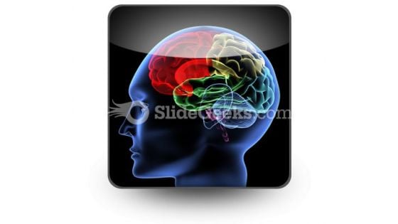 Brain PowerPoint Icon S