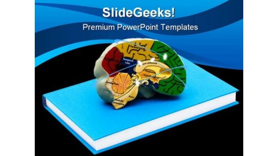 Brain Science PowerPoint Backgrounds And Templates 1210