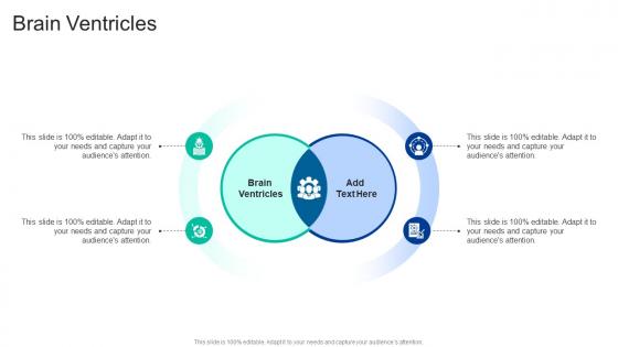 Brain Ventricles In Powerpoint And Google Slides Cpb