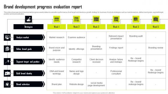 Brand Development Progress Evaluation Report Demonstration Pdf