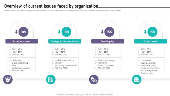 Brand Equity Management To Raise Overview Of Current Issues Faced By Organization