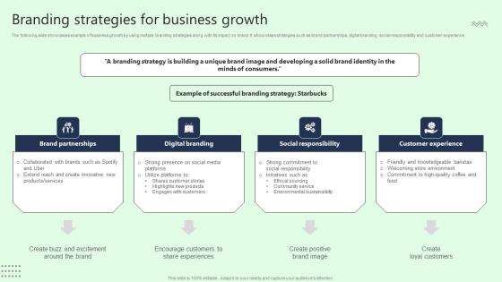Branding Strategies For Business Growth Professional Pdf