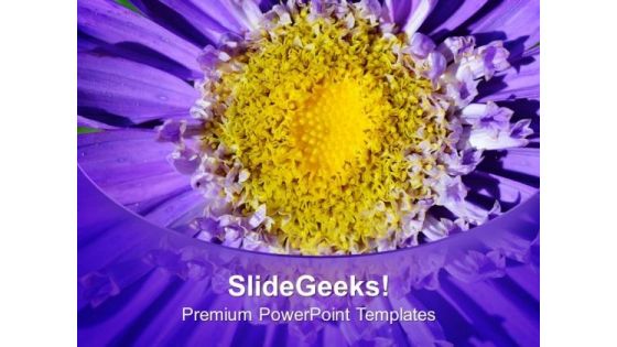 Bright And Colorful Macro Flowers PowerPoint Templates Ppt Backgrounds For Slides 0513