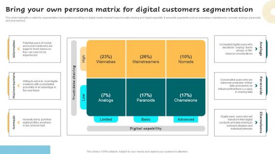 Bring Your Own Persona Matrix For Digital Successful Guide For Market Segmentation Mockup Pdf