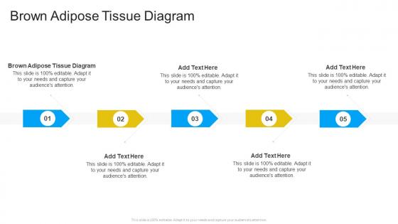 Brown Adipose Tissue Diagram In Powerpoint And Google Slides Cpb