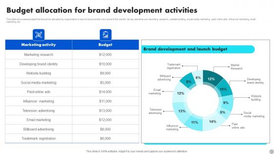 Budget Allocation For Brand Development Activities Brand Diversification Approach Structure Pdf