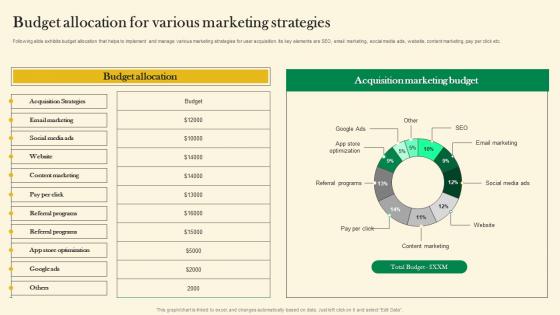 Budget Allocation For Various Marketing Strategies Online Customer Acquisition Background Pdf