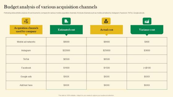 Budget Analysis Of Various Acquisition Channels Online Customer Acquisition Mockup Pdf