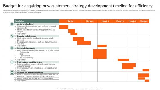 Budget For Acquiring New Customers Strategy Development Timeline For Efficiency Diagrams Pdf
