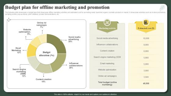 Budget Plan For Offline Marketing And Promotion Successful Launch Ppt Sample