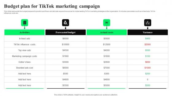 Budget Plan TikTok Marketing Campaign TikTok Advertising Strategies To Provide Effective Professional Pdf