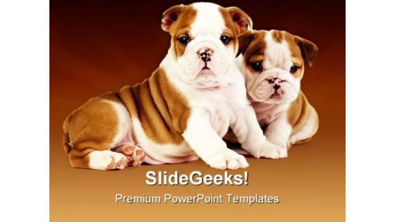 Bulldog Puppies Animals PowerPoint Templates And PowerPoint Backgrounds 0511