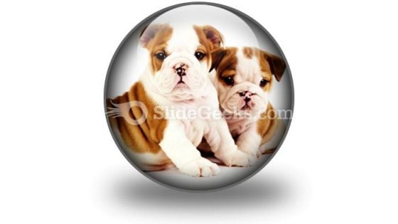 Bulldogs Animals PowerPoint Icon C