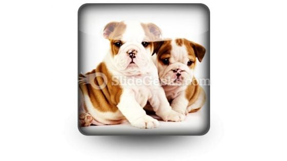 Bulldogs Animals PowerPoint Icon S