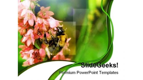 Bumble Bee Nature PowerPoint Templates And PowerPoint Backgrounds 0211