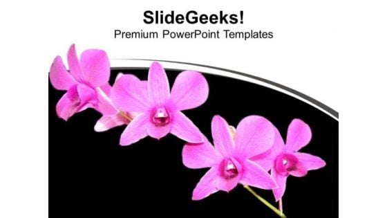 Bunch Of Flowers Black Background PowerPoint Templates Ppt Backgrounds For Slides 0313 Bunch Of Flowers Black Background PowerPoint Templates Ppt Backgrounds For Slides 0313