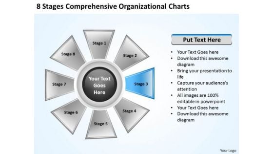 Business Development Strategy Comprehensive Organizational Charts Creative Marketing Concepts