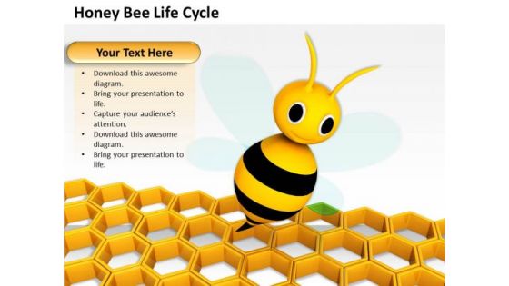 Business Development Strategy Honey Bee Life Cycle Clipart Business Development Strategy Honey Bee Life Cycle Clipart