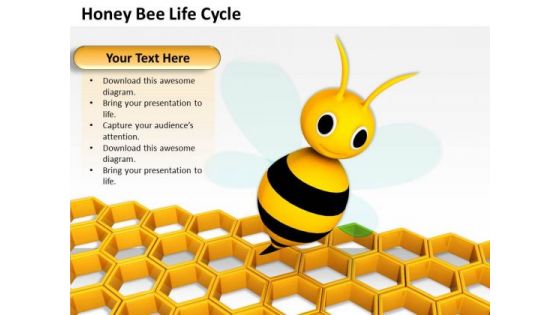 Business Development Strategy Honey Bee Life Cycle Clipart