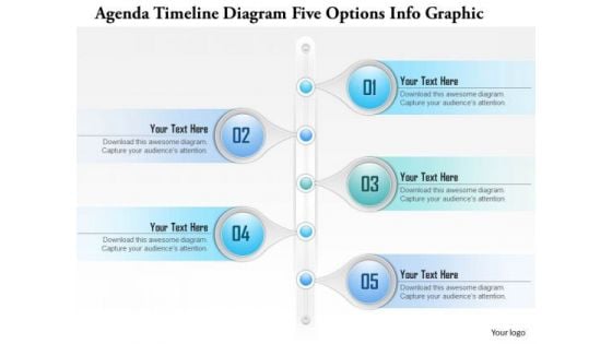 Business Diagram Agenda Timeline Diagram Five Options Info Graphic Presentation Template