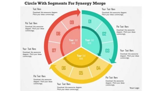 Business Diagram Circle With Segments For Synergy Merger Presentation Template