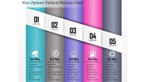 Business Diagram Five Options Vertical Process Chart Presentation Template