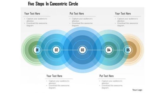 Business Diagram Five Steps In Concentric Circle Presentation Template