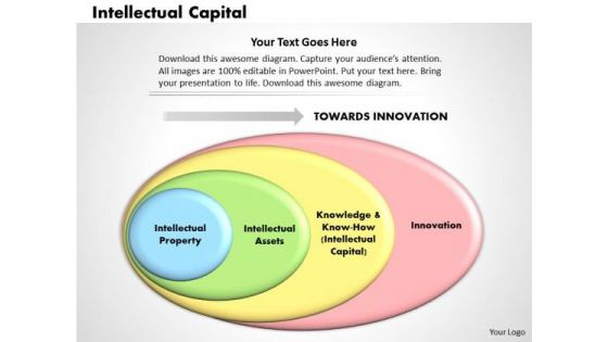 Business Diagram Intellectual Capital PowerPoint Ppt Presentation