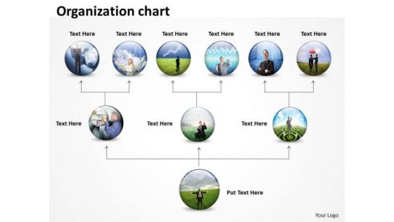 Business Diagram Organization Chart Round Diagram Business Cycle Diagram