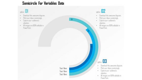 Business Diagram Semicircle For Variables Data Presentation Template