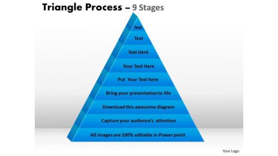 Business Diagram Triangular Diagram With 9 Staged For Strategy Marketing Diagram